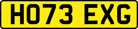 HO73EXG