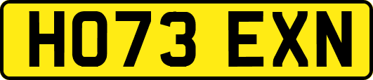 HO73EXN