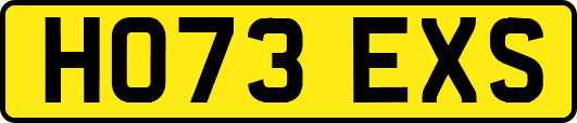 HO73EXS