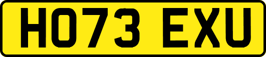 HO73EXU