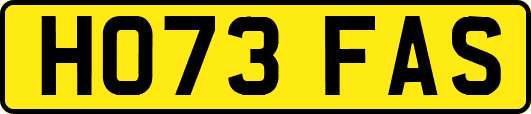 HO73FAS