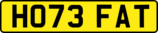 HO73FAT