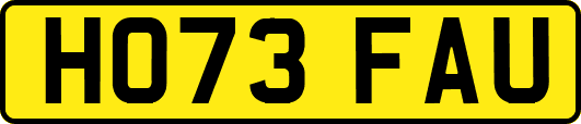 HO73FAU