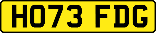 HO73FDG