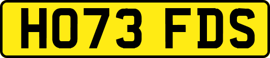 HO73FDS