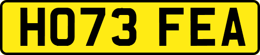 HO73FEA