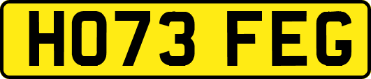 HO73FEG