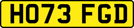 HO73FGD