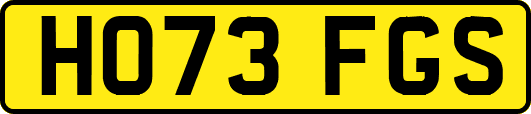 HO73FGS