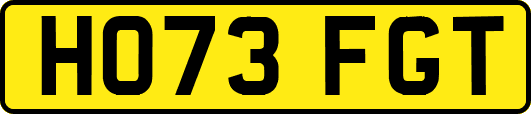 HO73FGT
