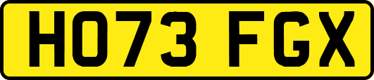 HO73FGX
