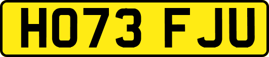 HO73FJU