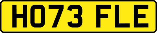 HO73FLE