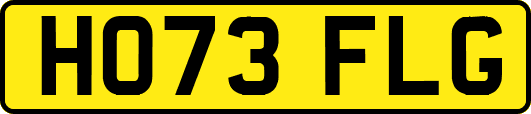 HO73FLG