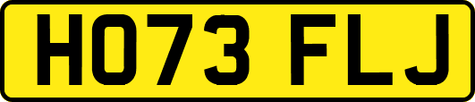 HO73FLJ