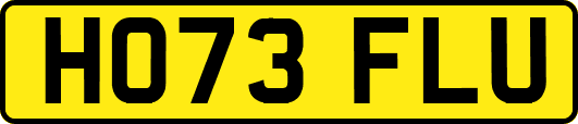HO73FLU