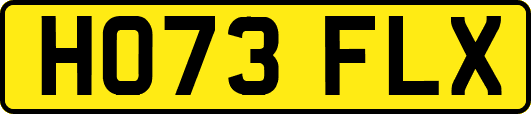 HO73FLX