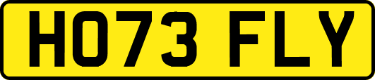 HO73FLY
