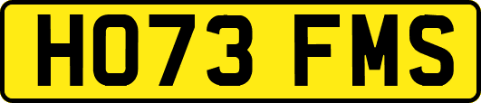 HO73FMS