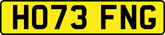 HO73FNG