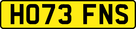 HO73FNS