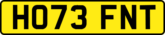 HO73FNT