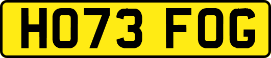 HO73FOG