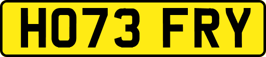 HO73FRY