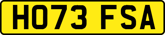 HO73FSA