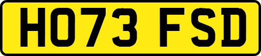 HO73FSD