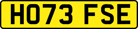 HO73FSE