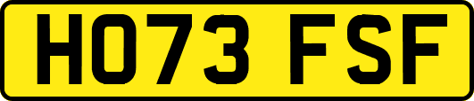 HO73FSF