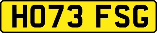 HO73FSG