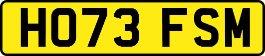 HO73FSM