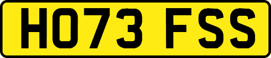 HO73FSS