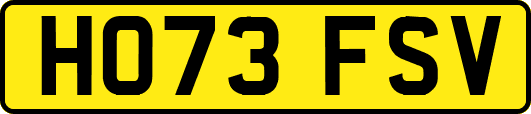 HO73FSV