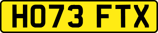 HO73FTX