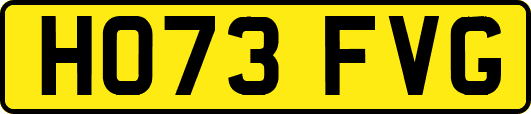 HO73FVG