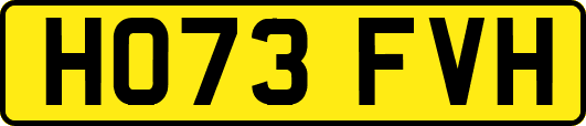 HO73FVH