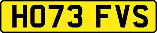 HO73FVS