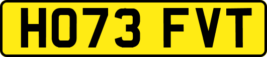 HO73FVT