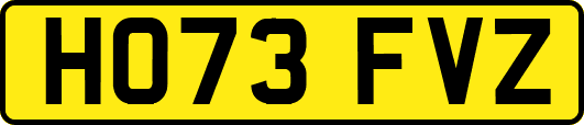 HO73FVZ