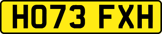 HO73FXH