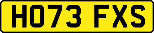 HO73FXS