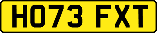 HO73FXT