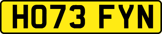 HO73FYN