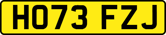 HO73FZJ