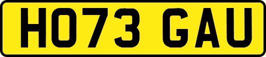 HO73GAU