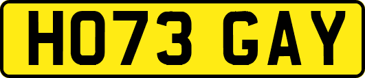 HO73GAY