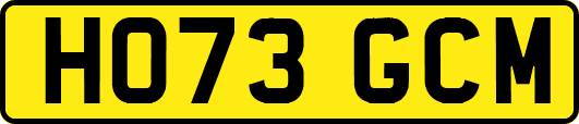 HO73GCM
